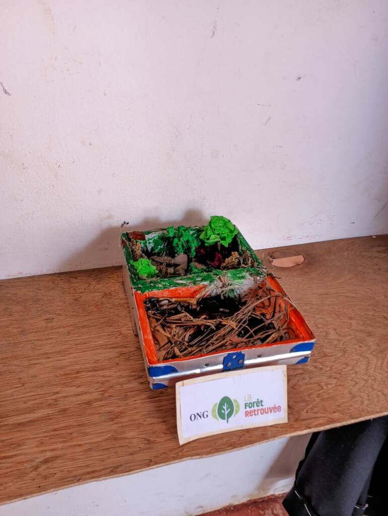 kit de survie qui représente la forêt retrouvé