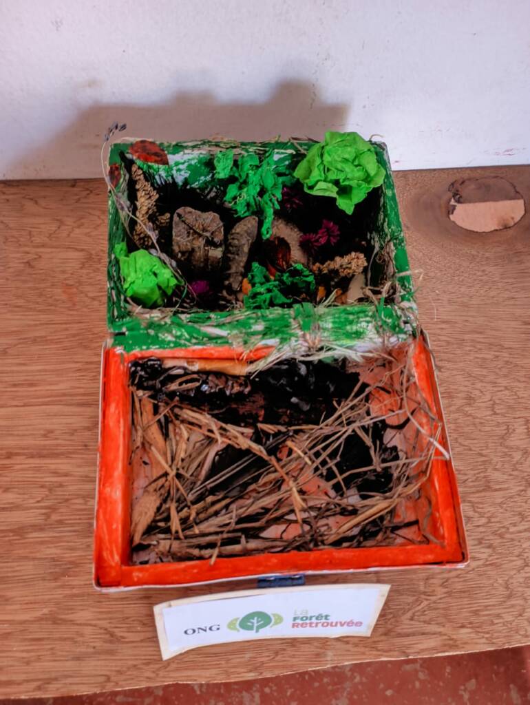 kit de survie qui représente la forêt retrouvé